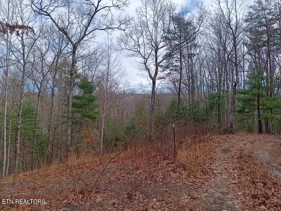 688 Old Furnace Rd Property Photo 2