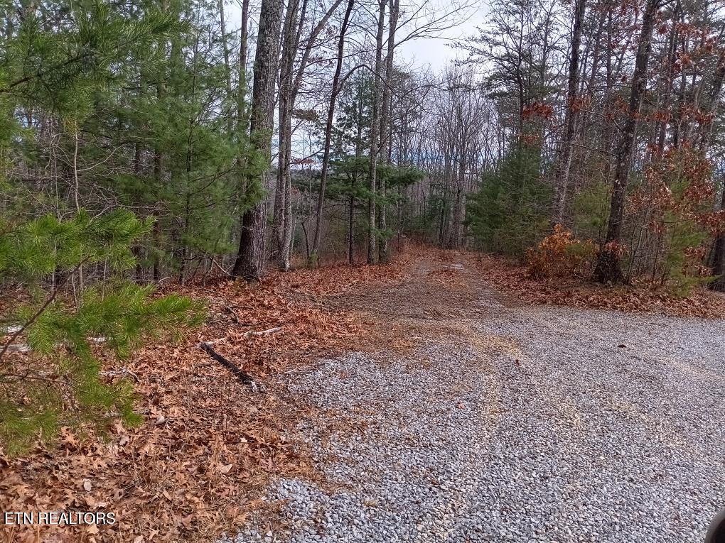 688 Old Furnace Rd Property Photo 3