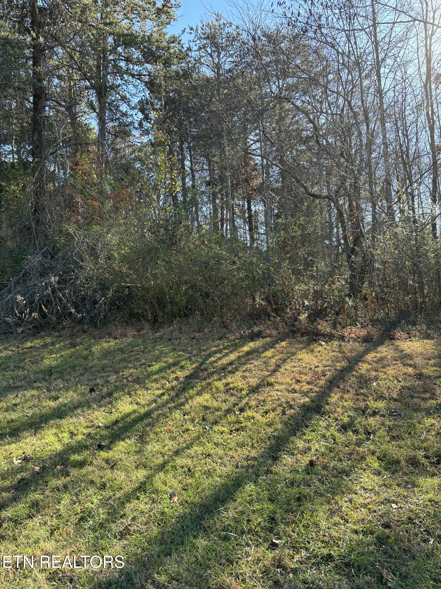 646 Sandpiper Drive Property Photo 8