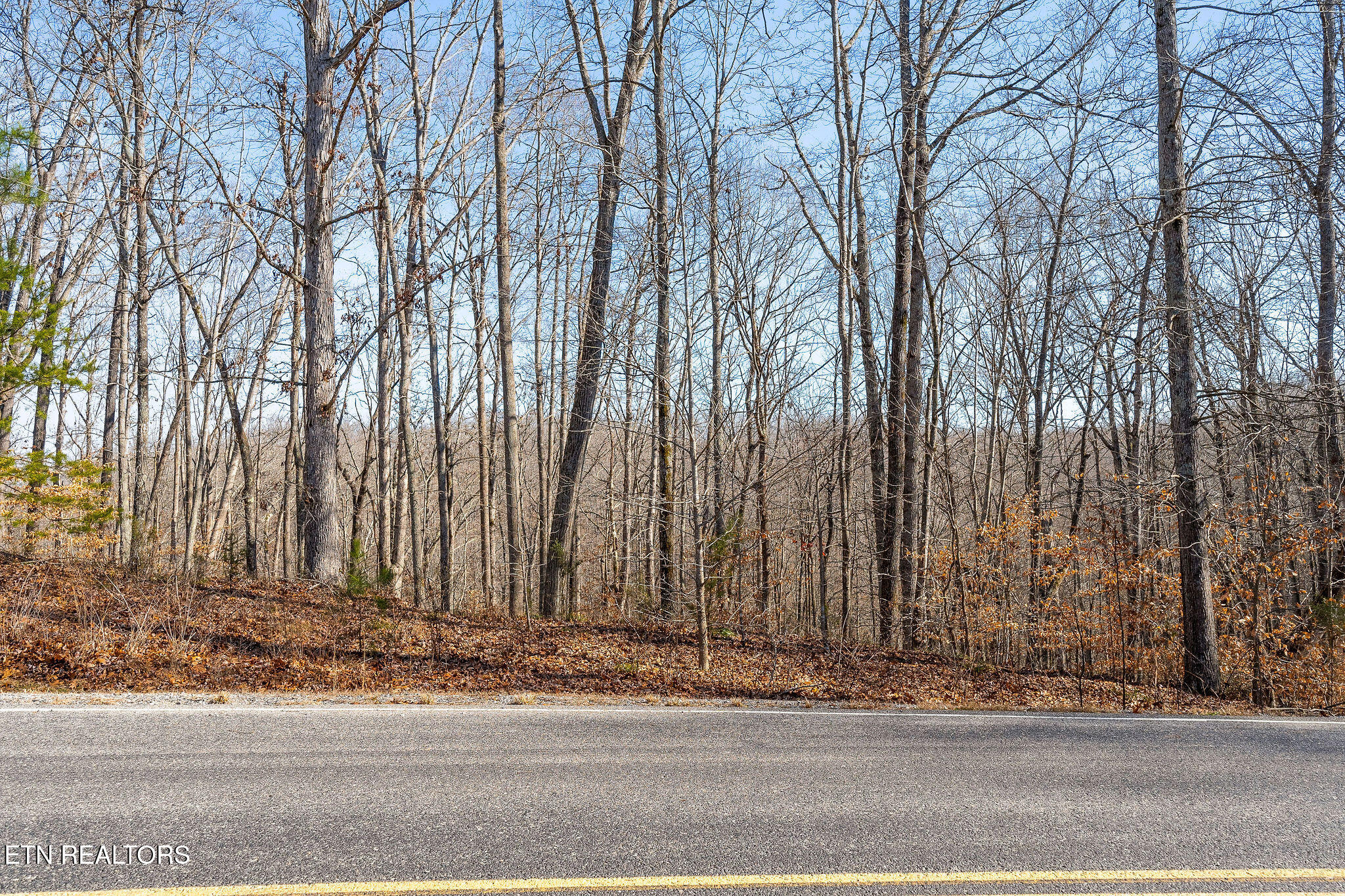 Lot 9 Watercolor Drive Property Photo 15