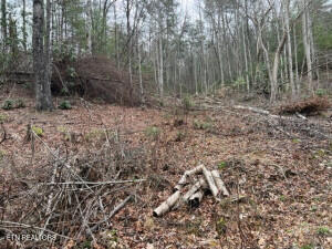 Coy Rhea Way Property Photo 1