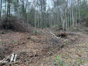 Coy Rhea Way Property Photo 2