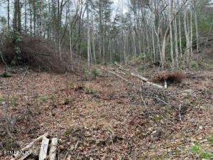 Coy Rhea Way Property Photo 3