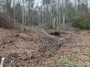 Coy Rhea Way Property Photo 4