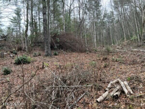 Coy Rhea Way Property Photo 5