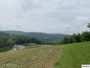 Mountain Way Property Photo 1