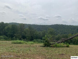Mountain Way Property Photo 3