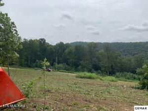 Mountain Way Property Photo 4