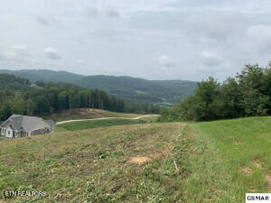 Mountain Way Property Photo 7