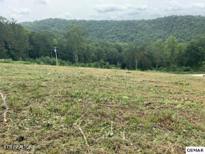 Mountain Way Property Photo 8