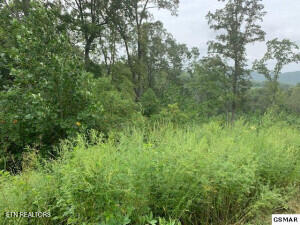 Mountain Way Property Photo 11
