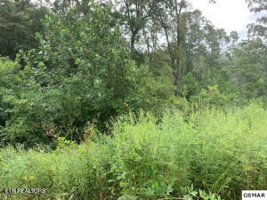 Mountain Way Property Photo 12