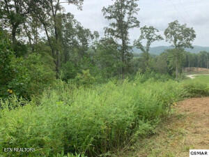 Mountain Way Property Photo 13