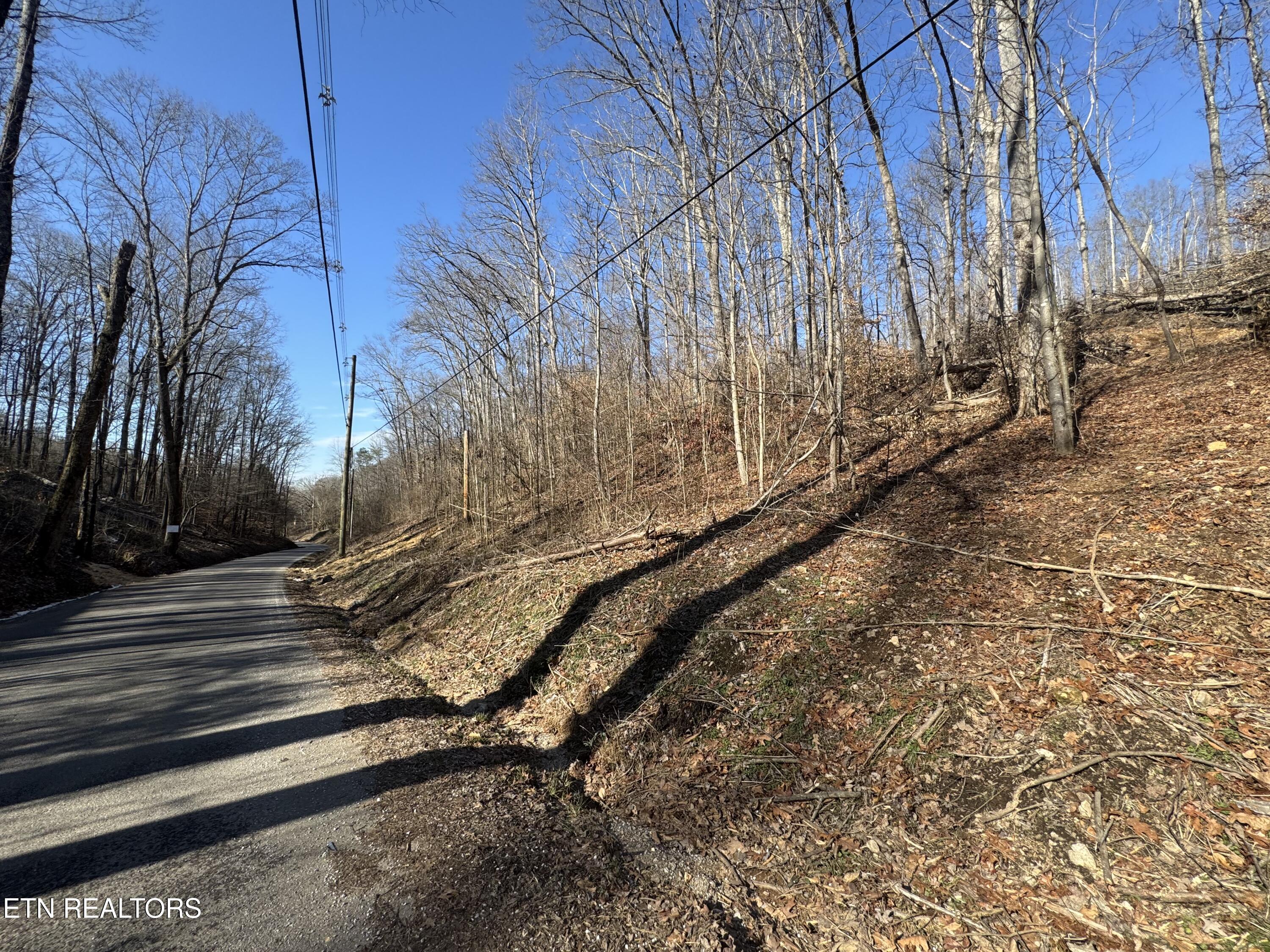 136 Toby Hollow Lane Property Photo 1