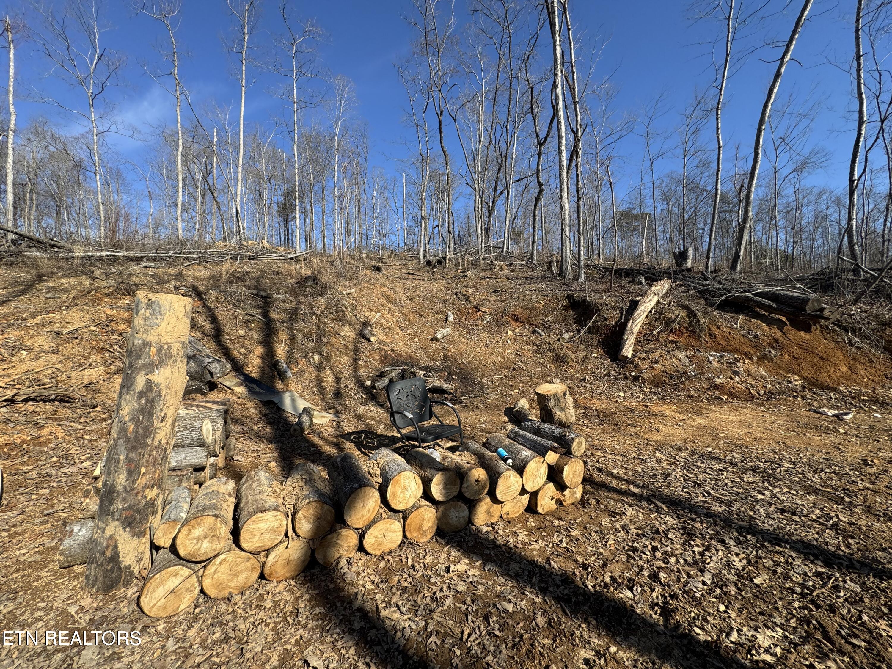 136 Toby Hollow Lane Property Photo 2