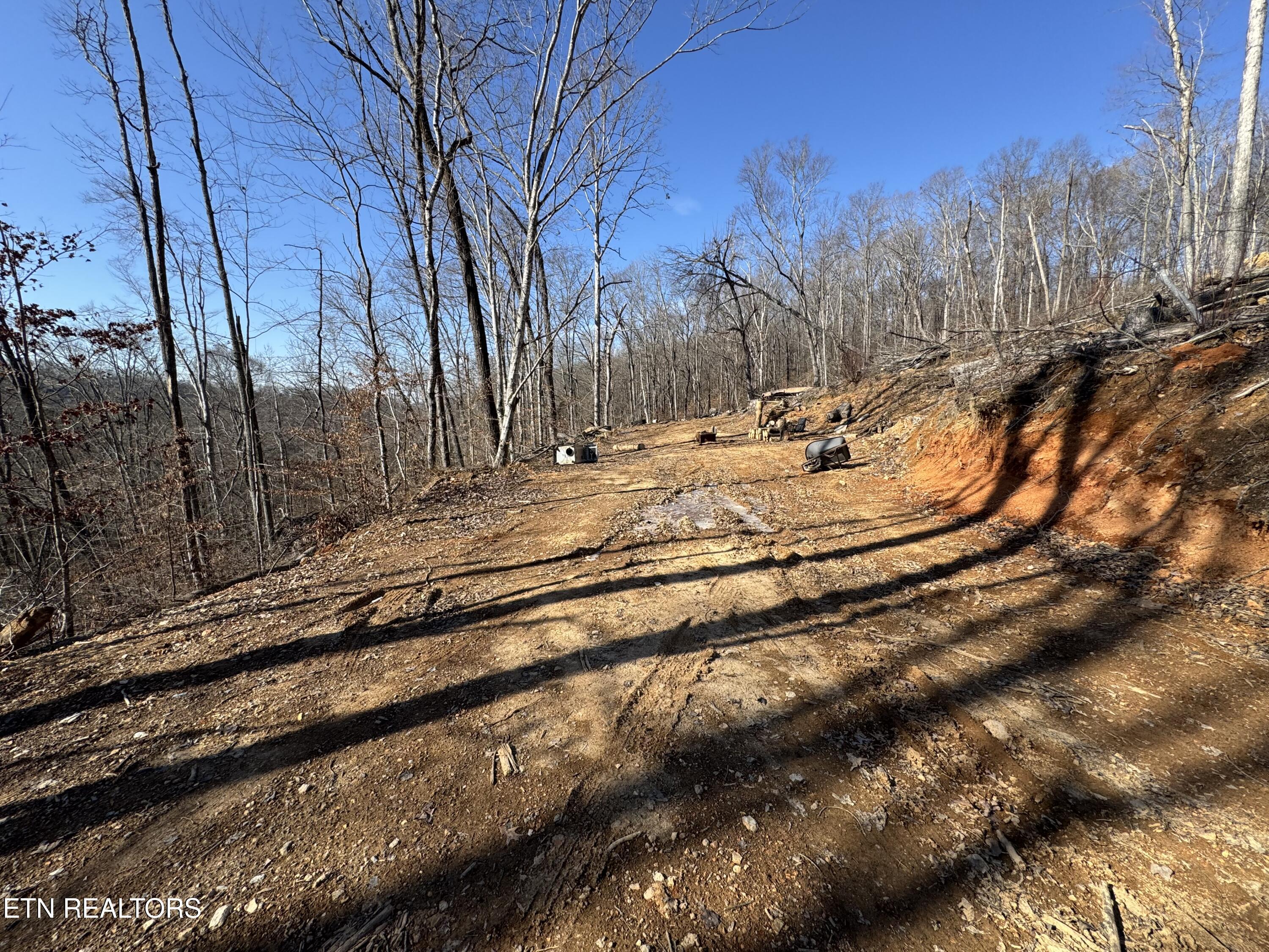 136 Toby Hollow Lane Property Photo 4