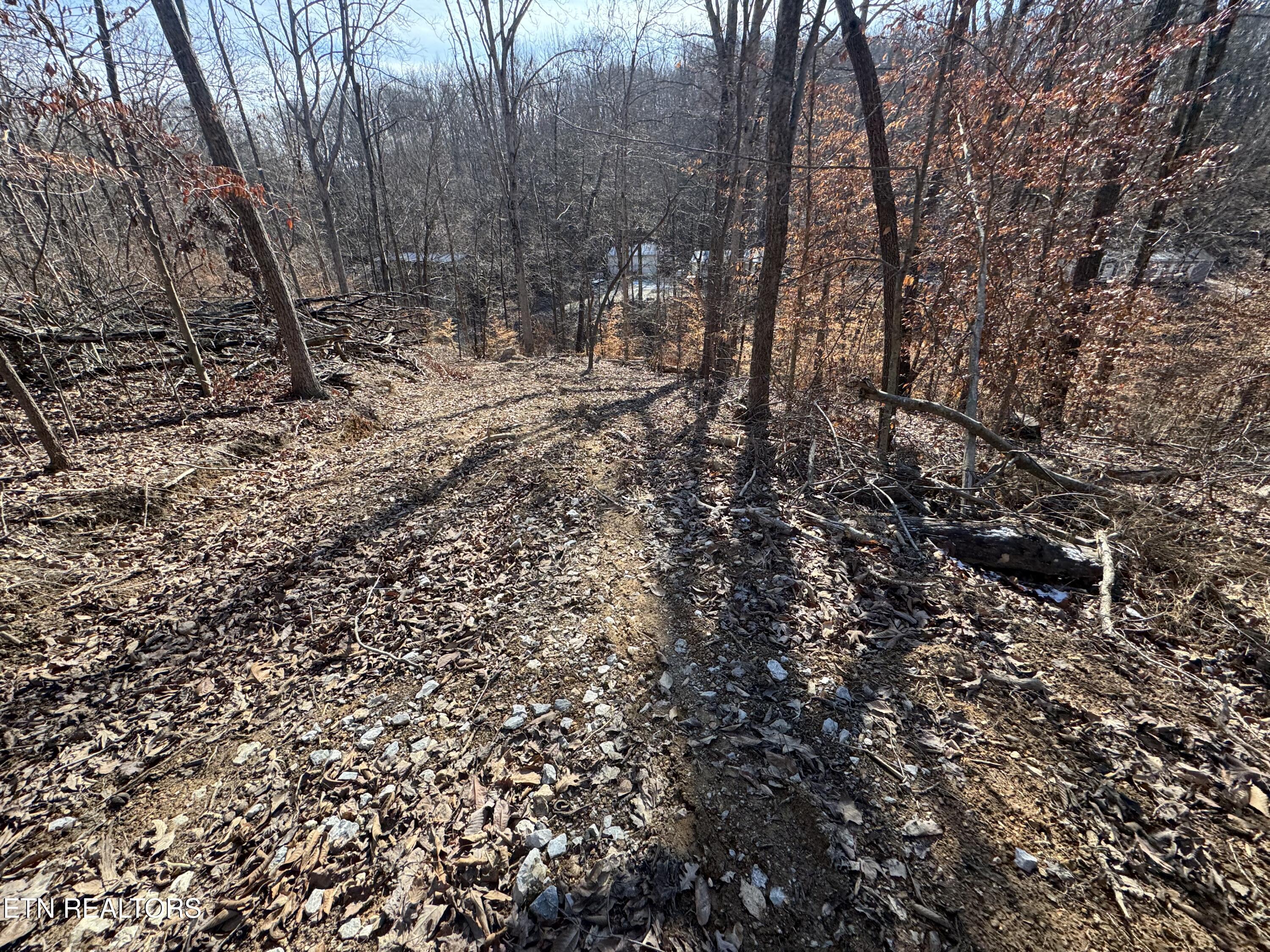136 Toby Hollow Lane Property Photo 10