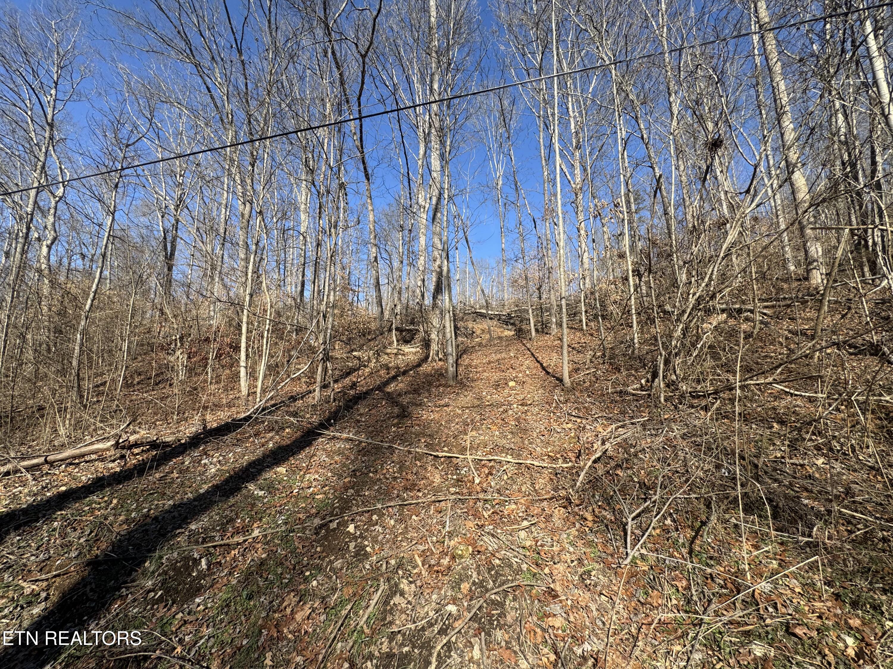 136 Toby Hollow Lane Property Photo 11