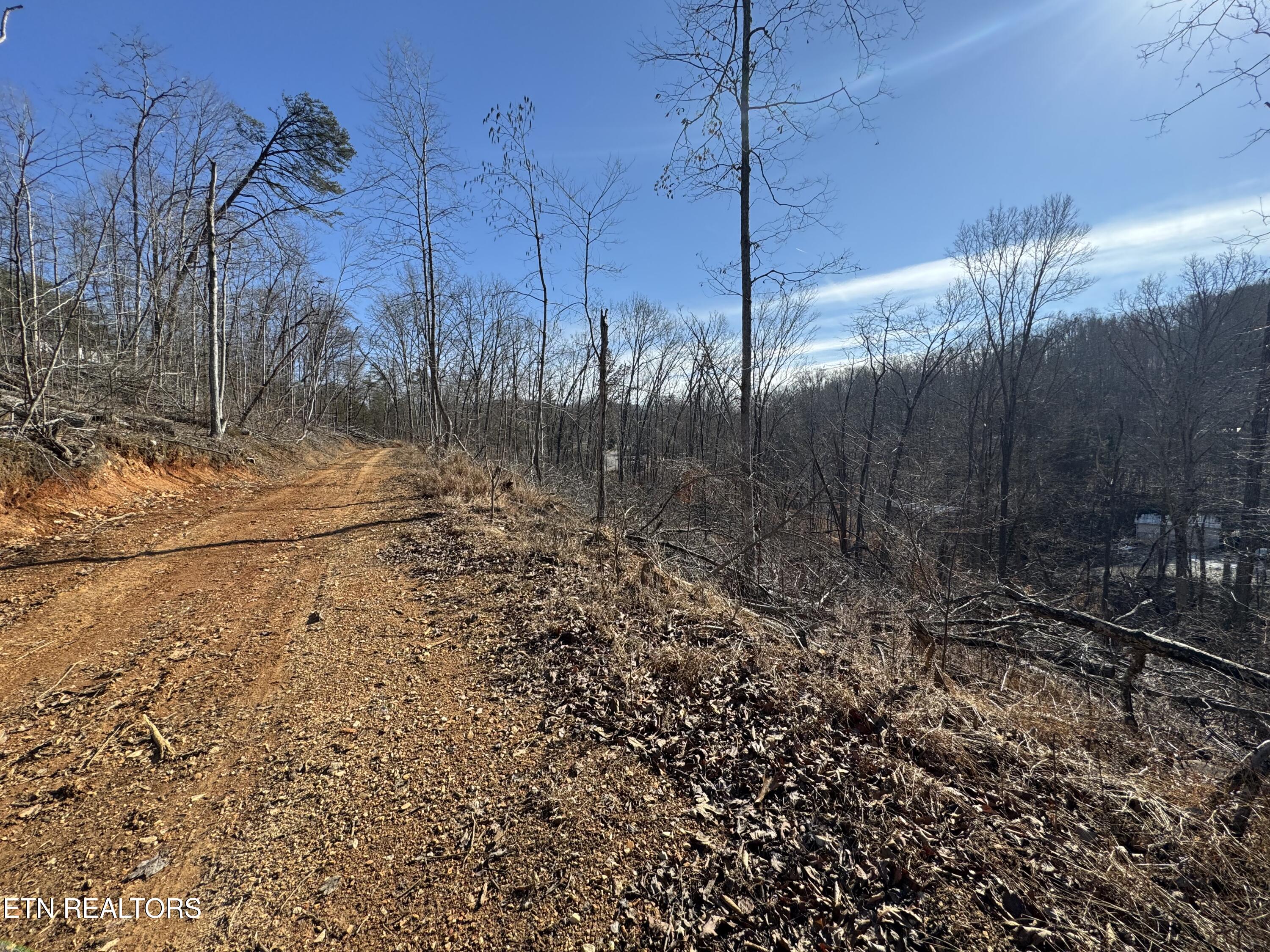 136 Toby Hollow Lane Property Photo 14