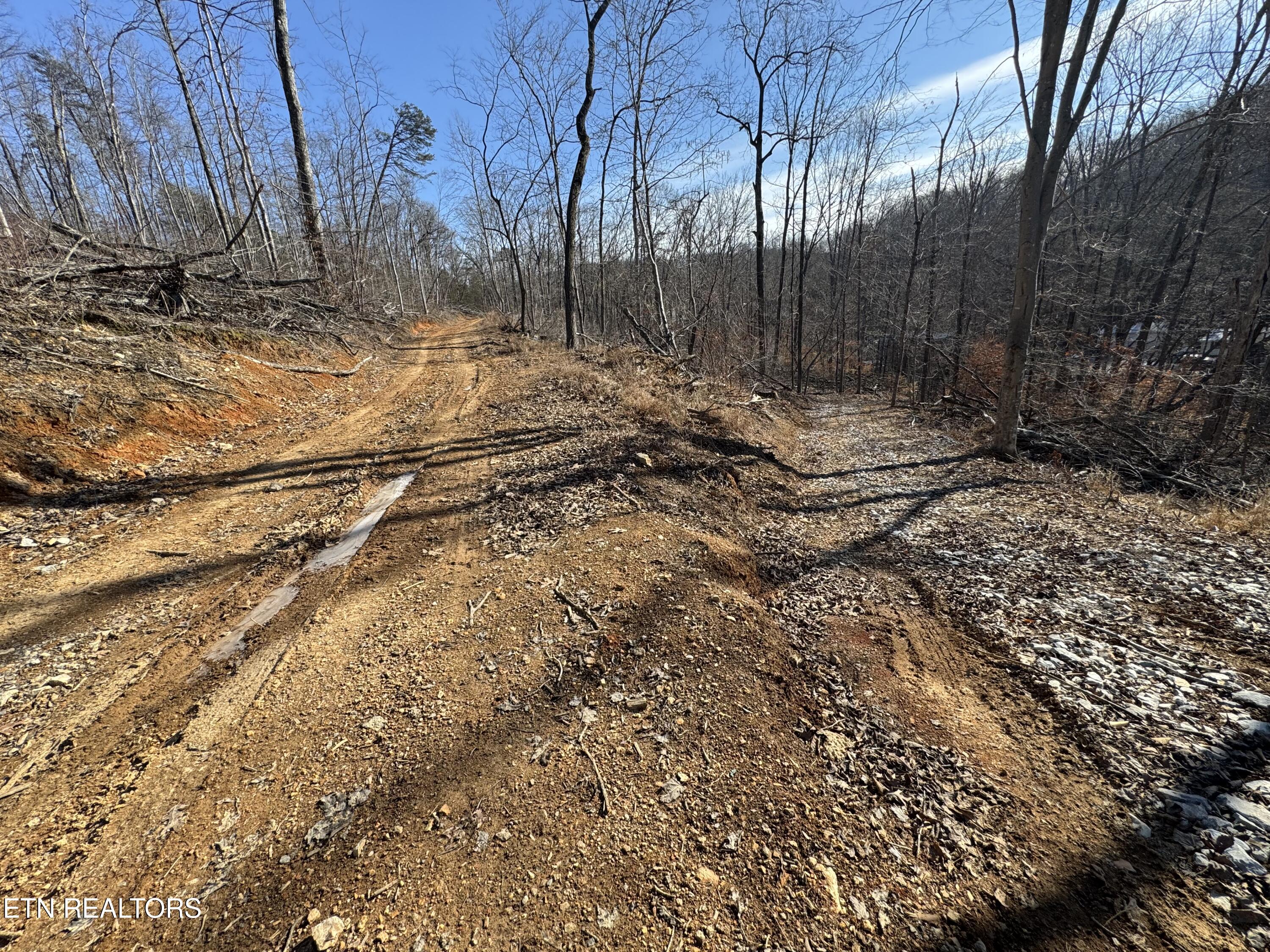 136 Toby Hollow Lane Property Photo 15