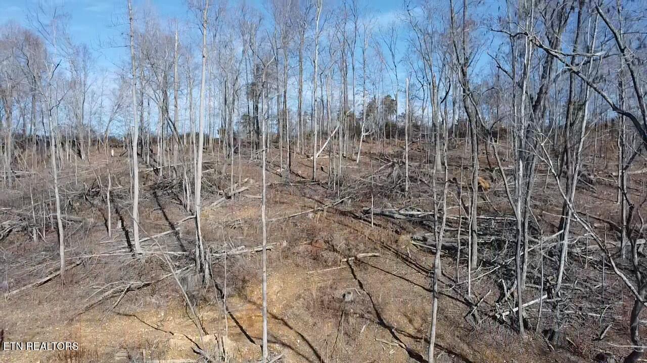 136 Toby Hollow Lane Property Photo 20