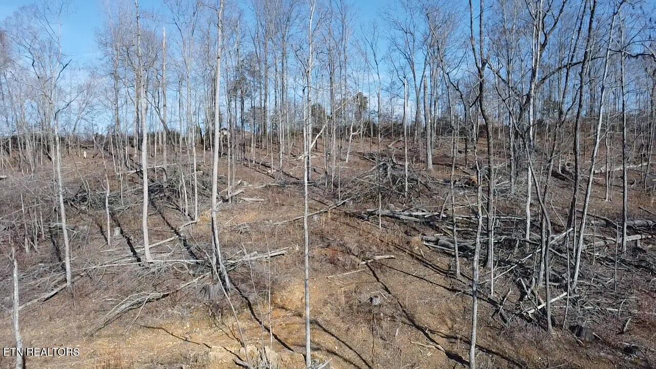 136 Toby Hollow Lane Property Photo 24