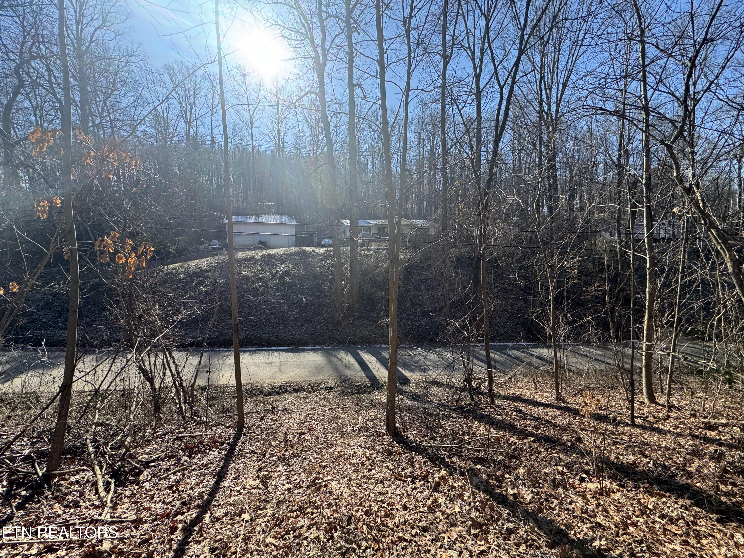 136 Toby Hollow Lane Property Photo 27