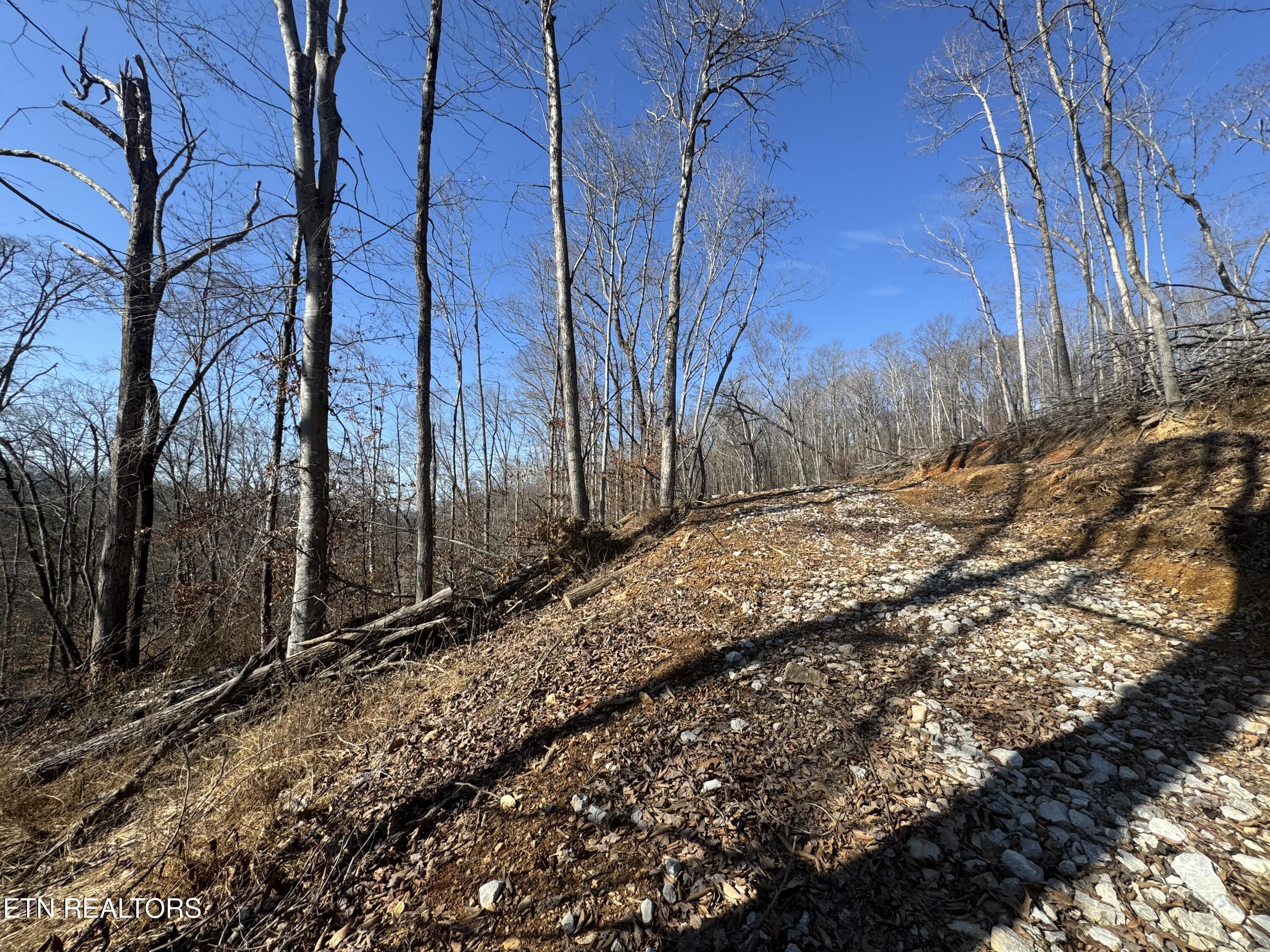 136 Toby Hollow Lane Property Photo 29