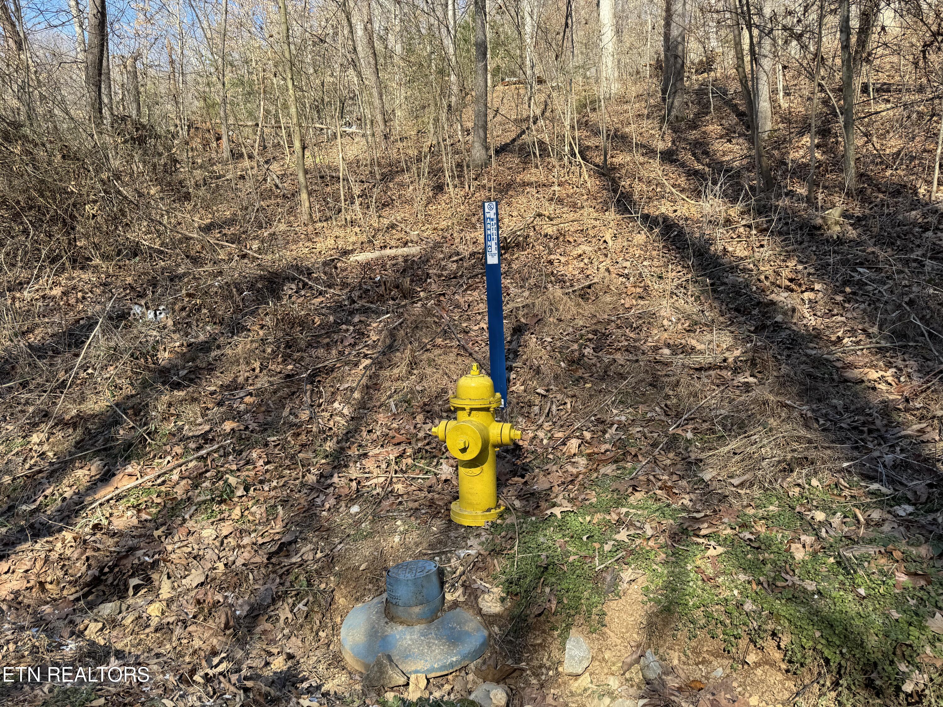 136 Toby Hollow Lane Property Photo 30