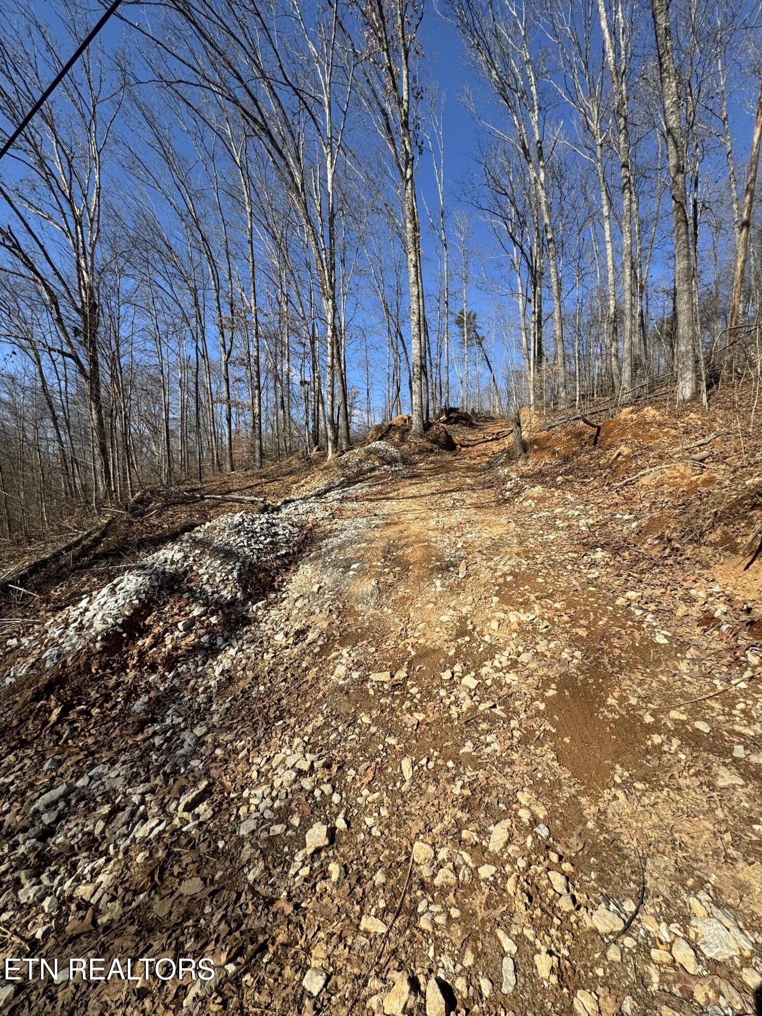 136 Toby Hollow Lane Property Photo 33