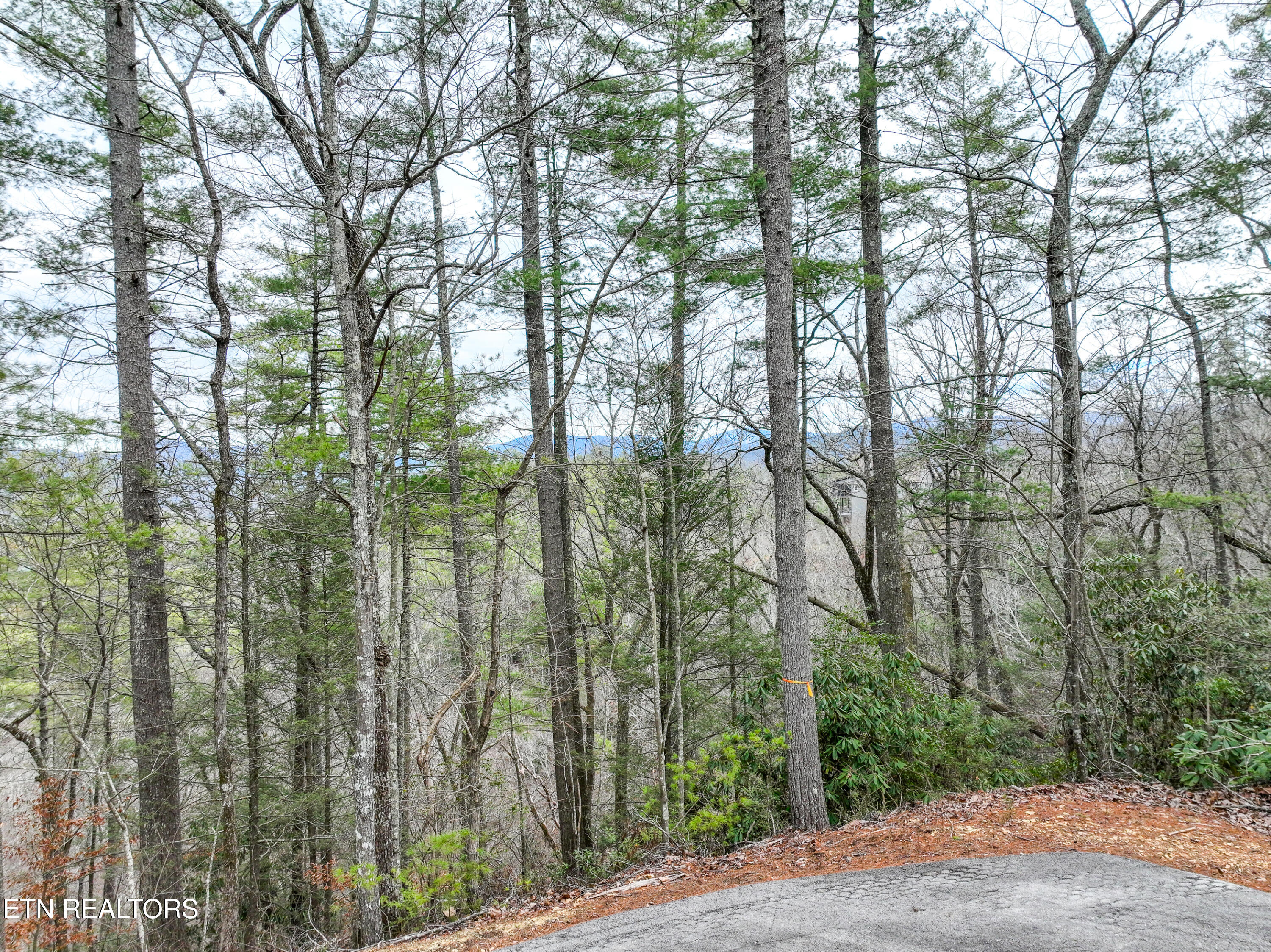 Lot 20 Slate Quarry Point Property Photo 2