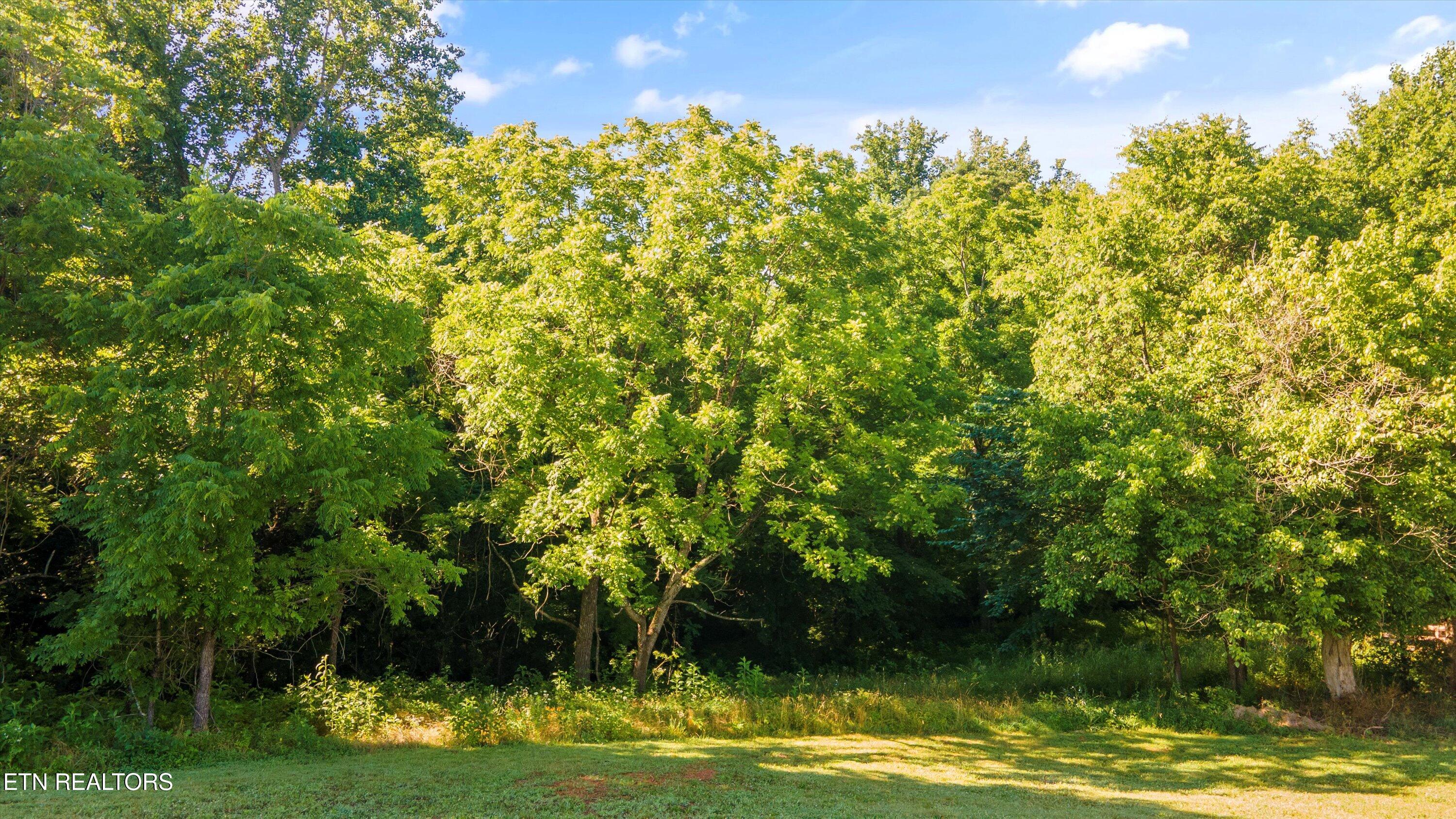 623 Farm Of The Smokies Way Property Photo 10