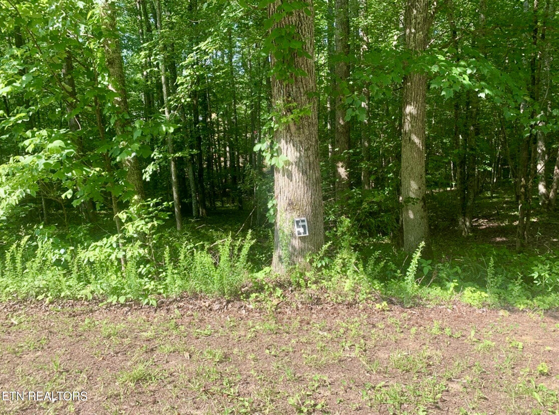 Blue Heron Drive Property Photo 4