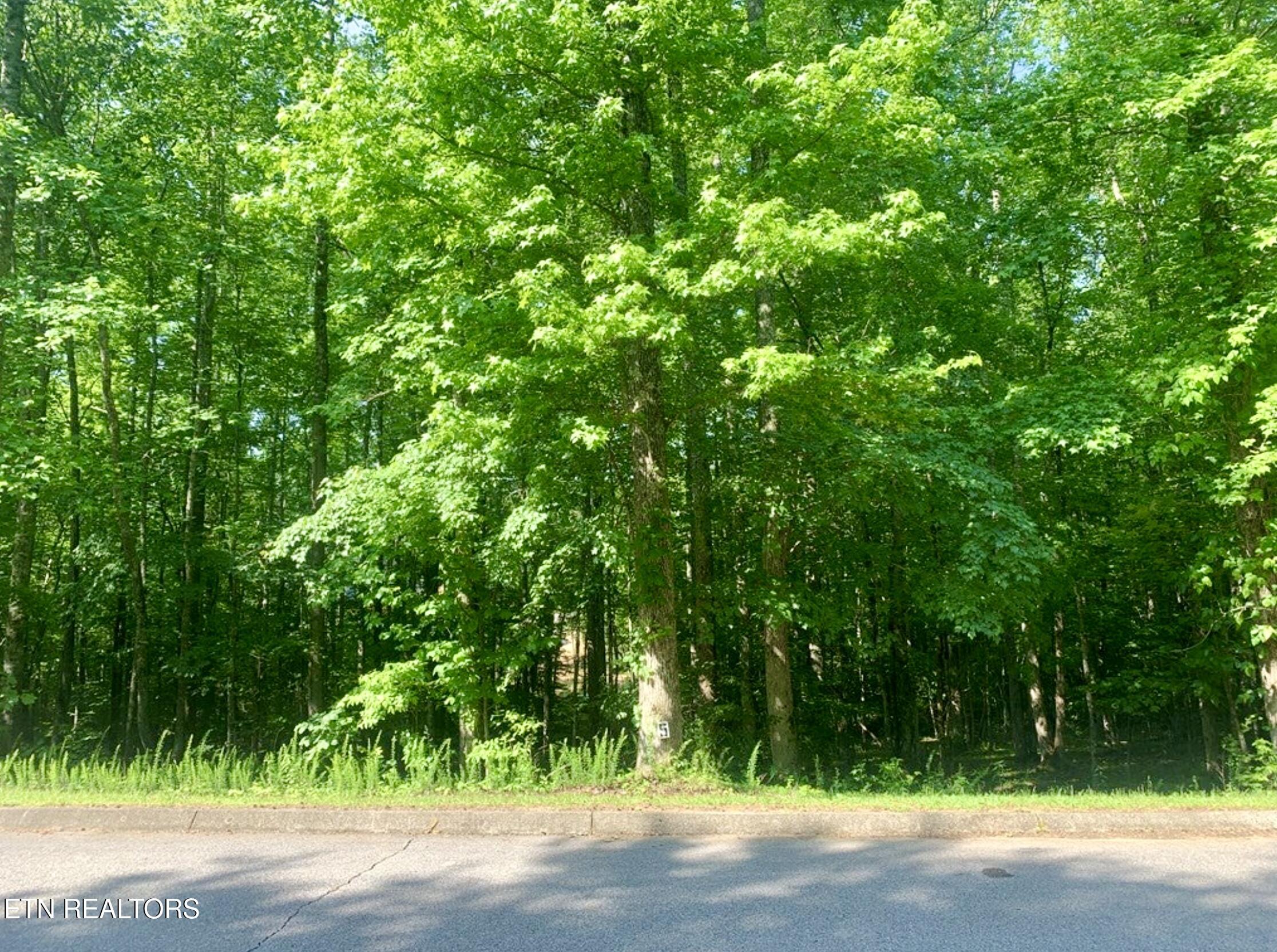 Blue Heron Drive Property Photo 6