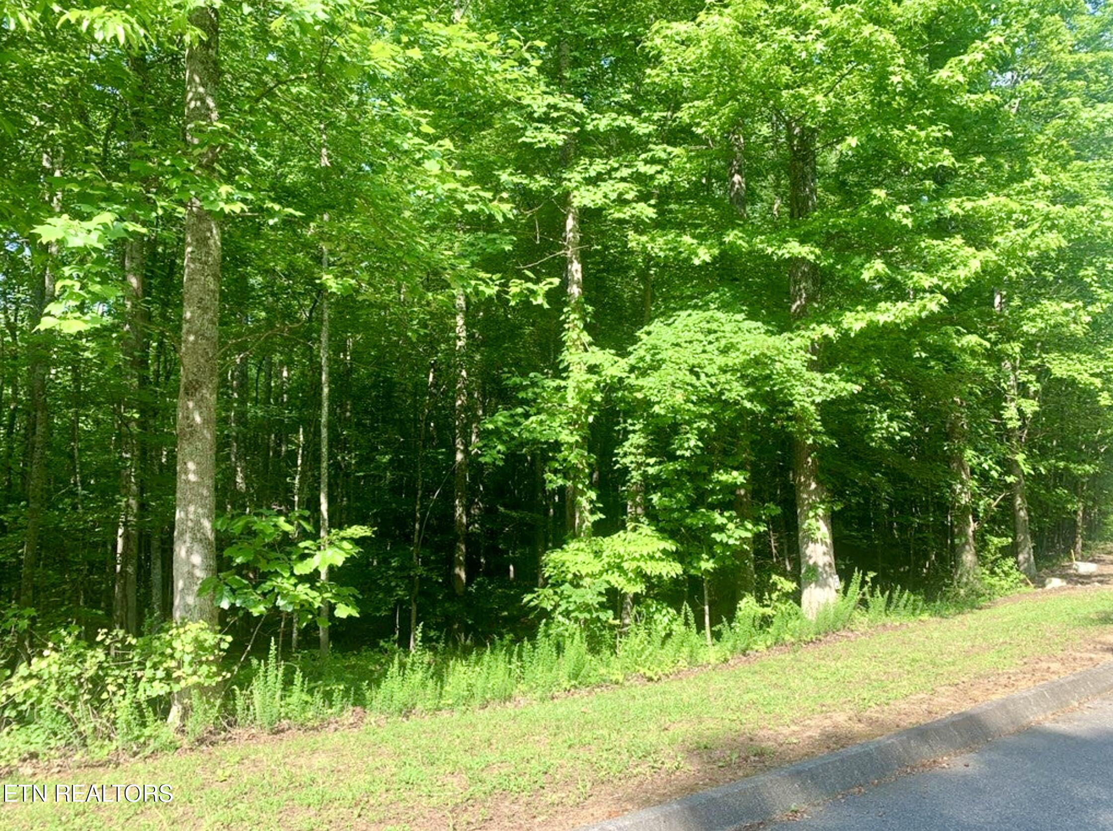 Blue Heron Drive Property Photo 7