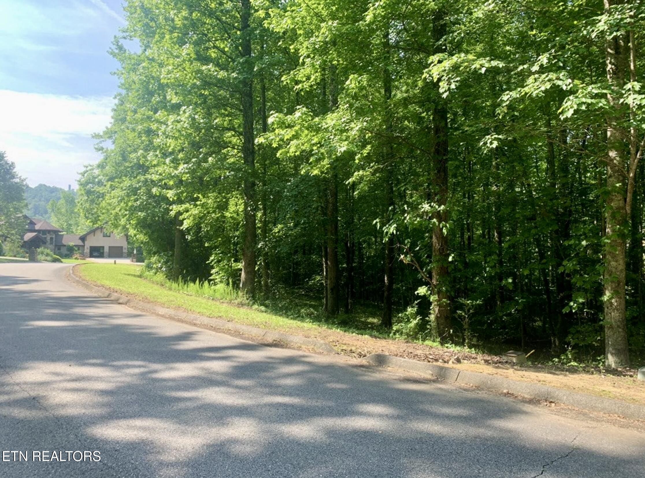 Blue Heron Drive Property Photo 8