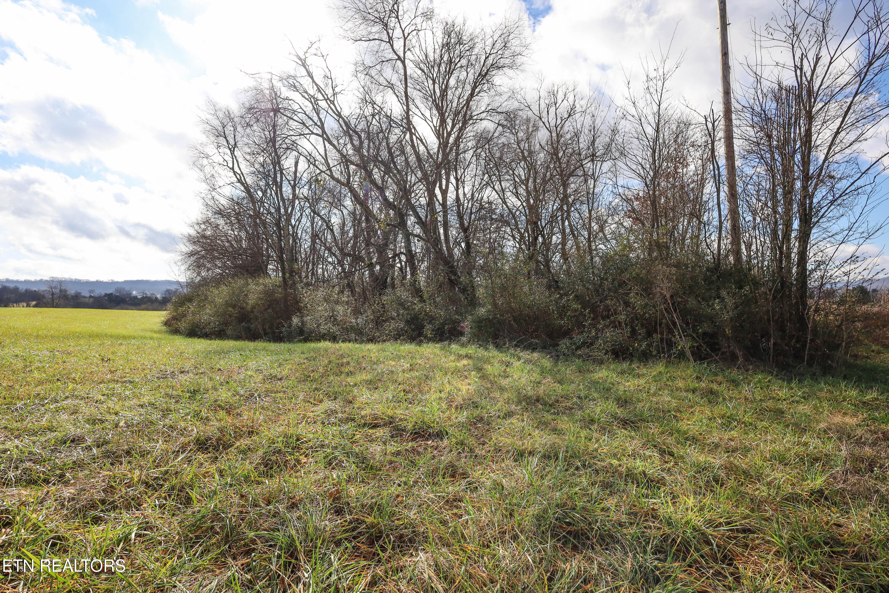 0 Gen Carl W Stiner Hwy Property Photo 2