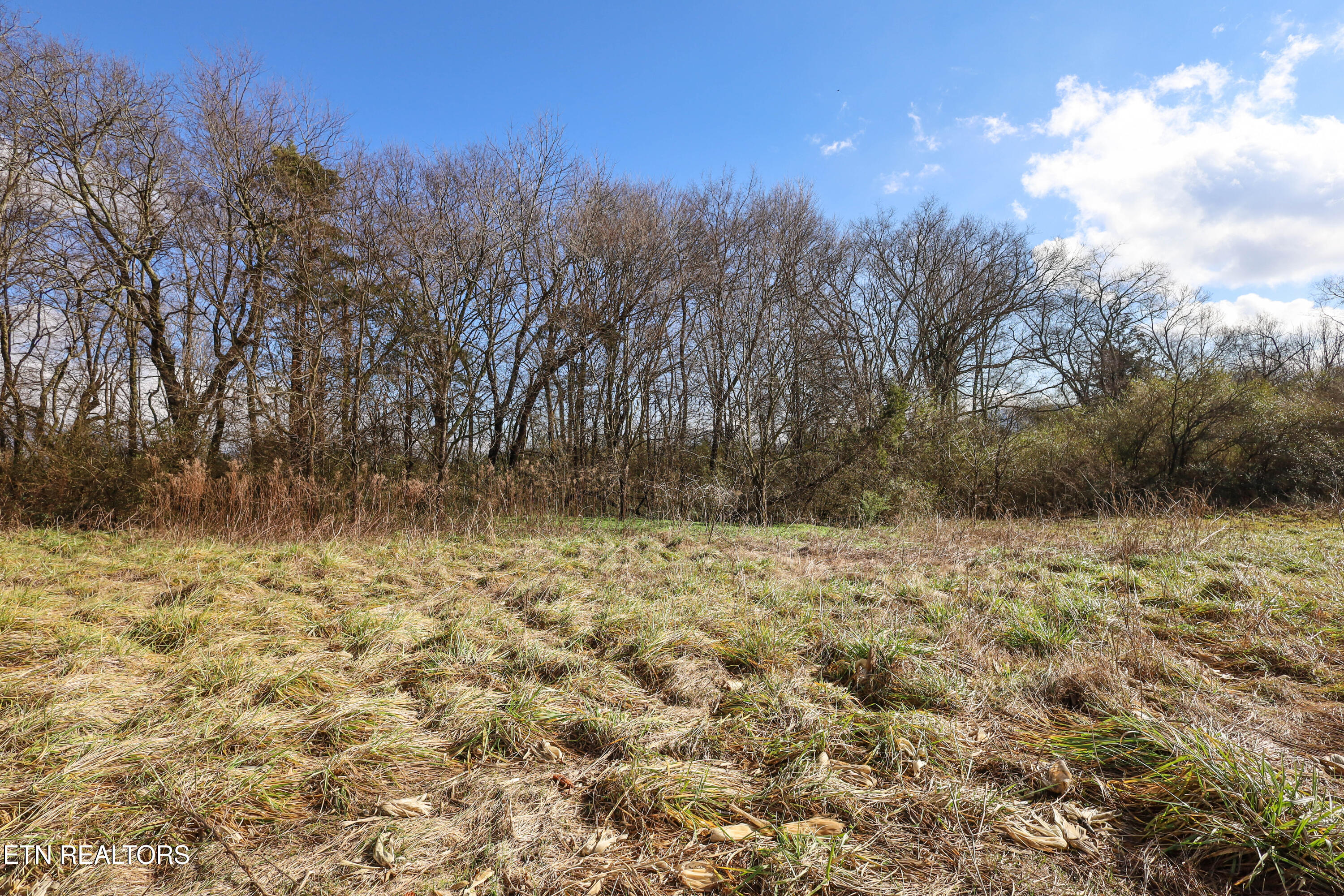 0 Gen Carl W Stiner Hwy Property Photo 3