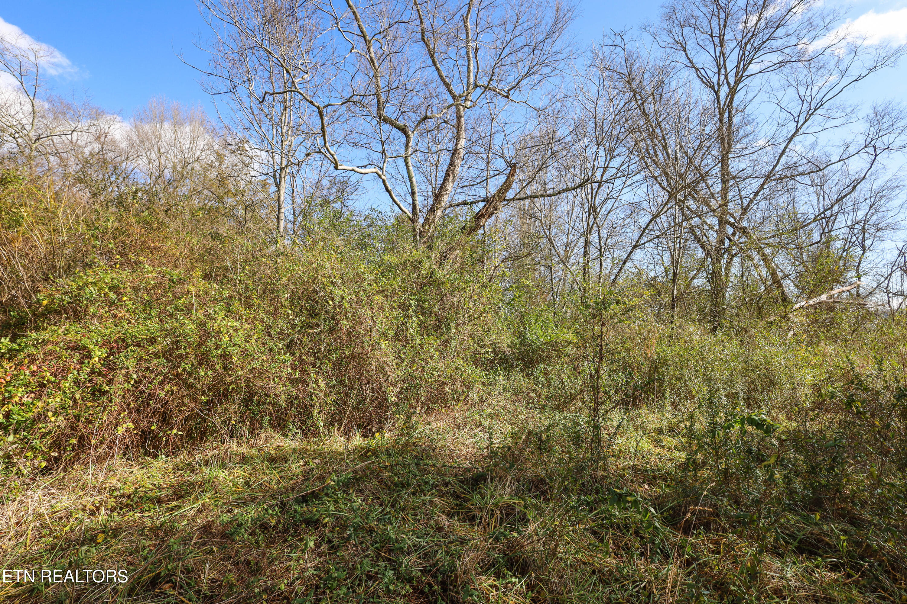 0 Gen Carl W Stiner Hwy Property Photo 5