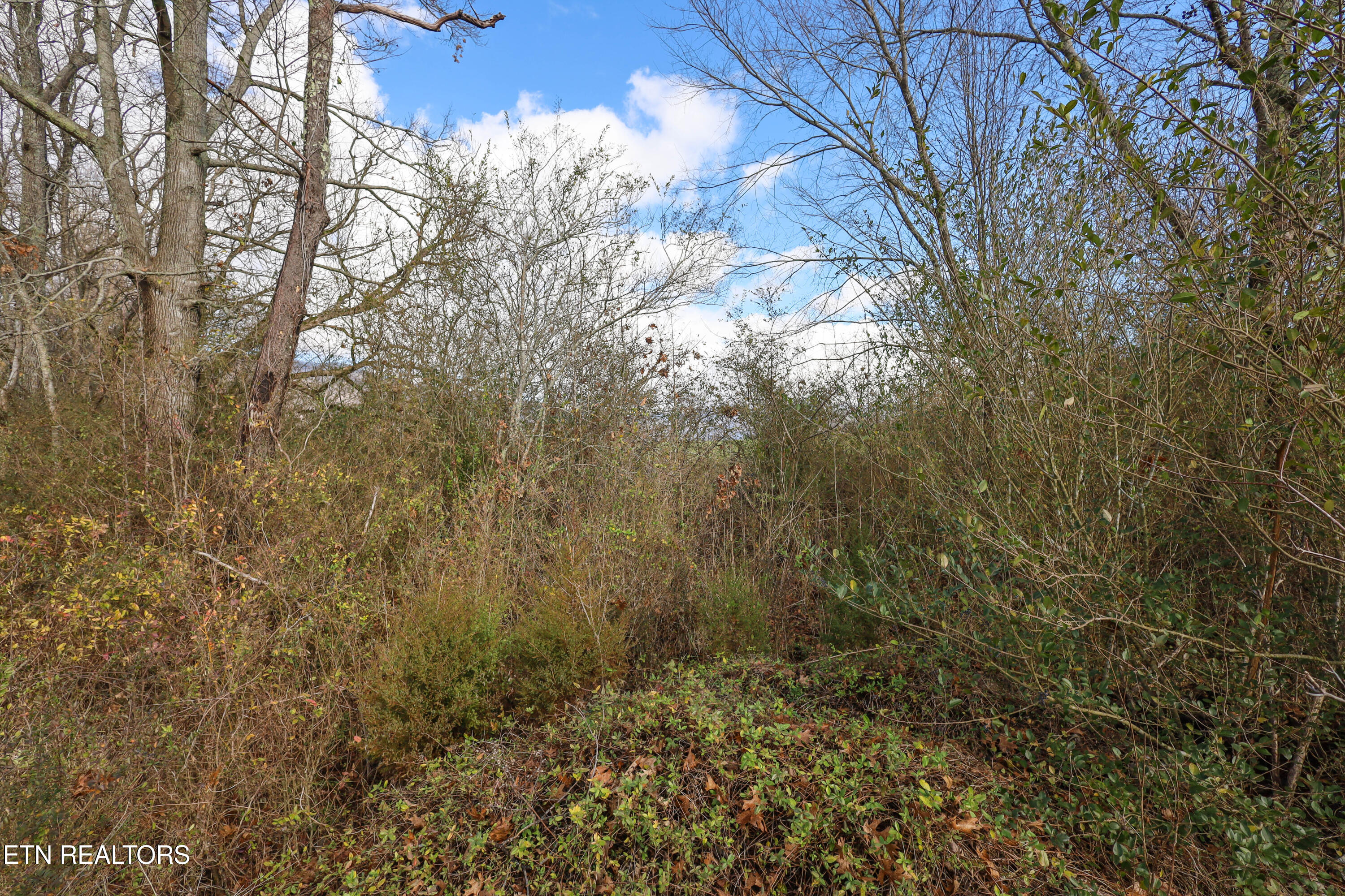 0 Gen Carl W Stiner Hwy Property Photo 6