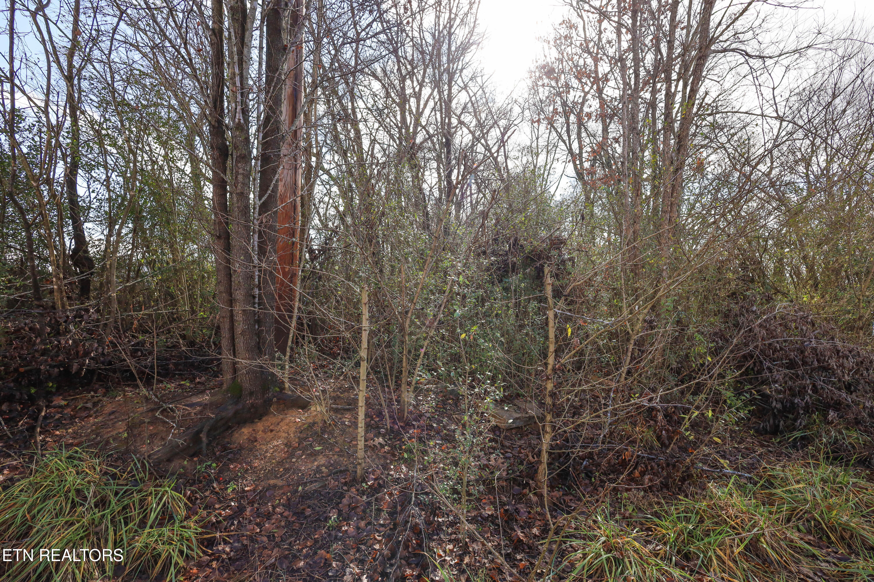 0 Gen Carl W Stiner Hwy Property Photo 9