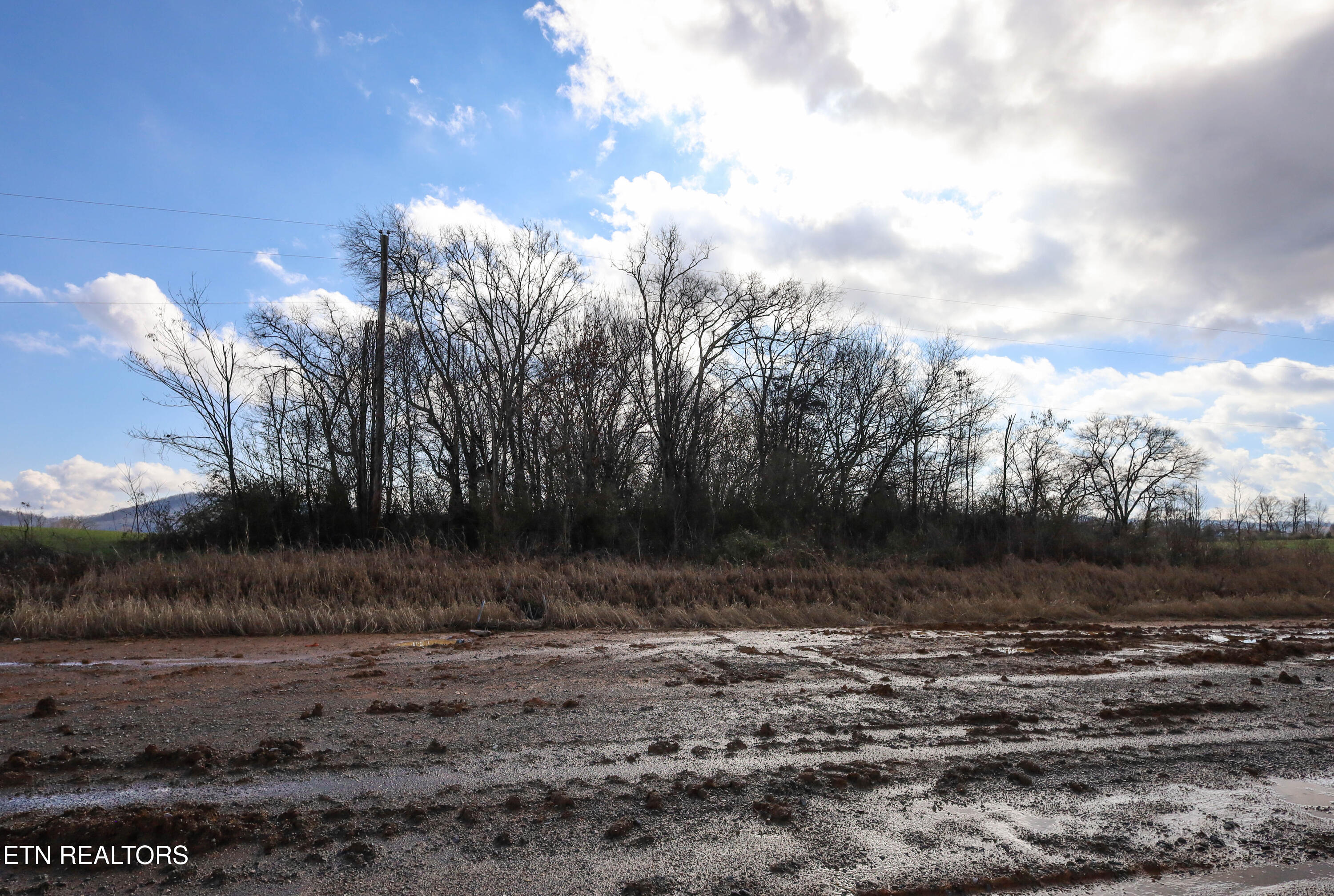 0 Gen Carl W Stiner Hwy Property Photo 10