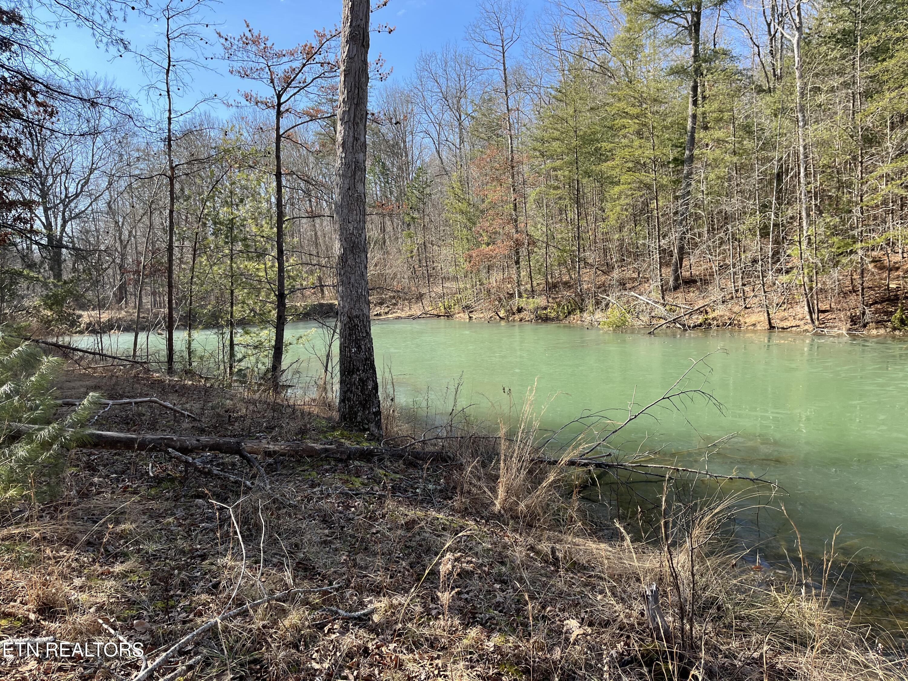 162.45ac Mill Creek Rd Property Photo 2