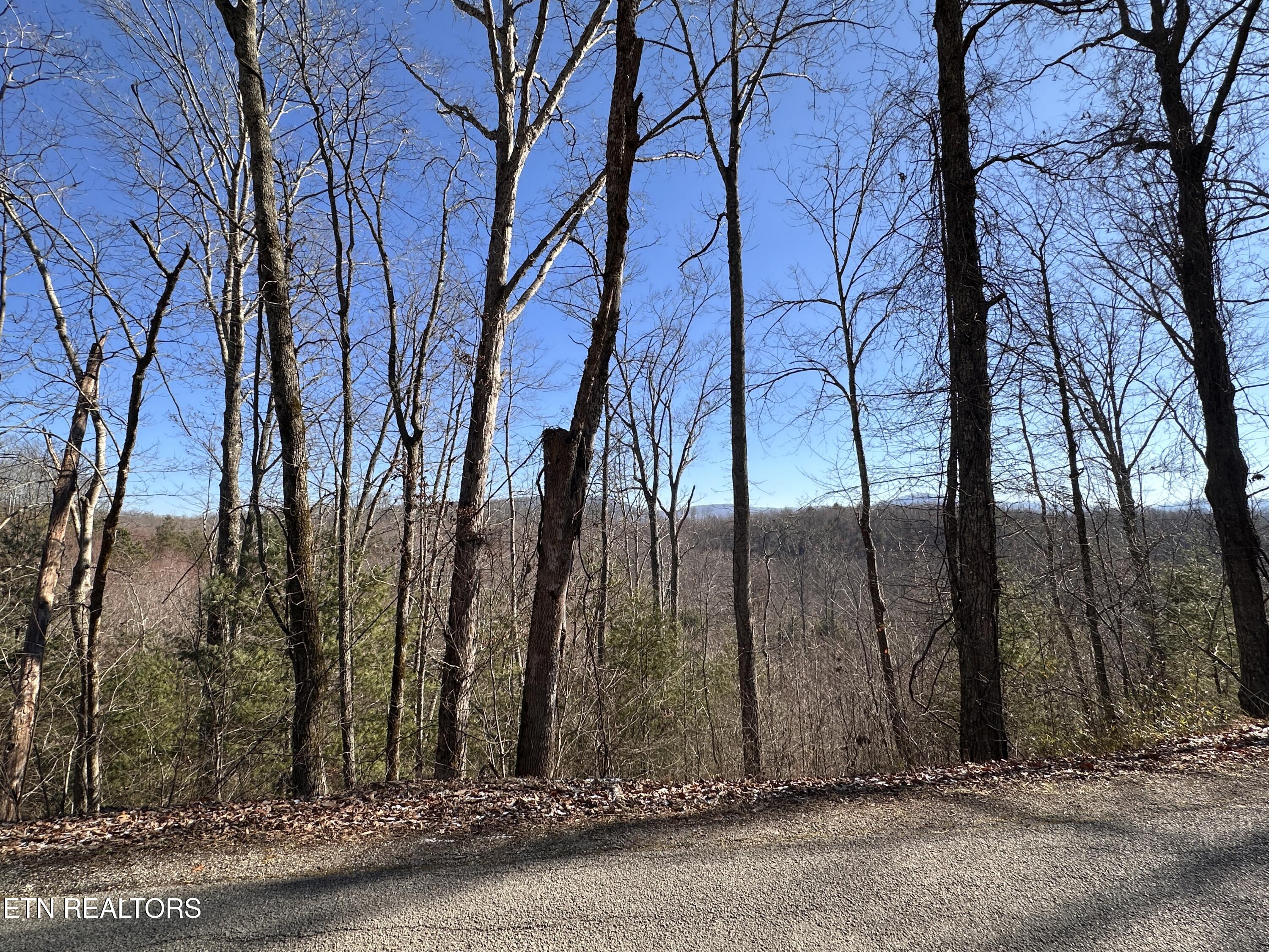 162.45ac Mill Creek Rd Property Photo 4