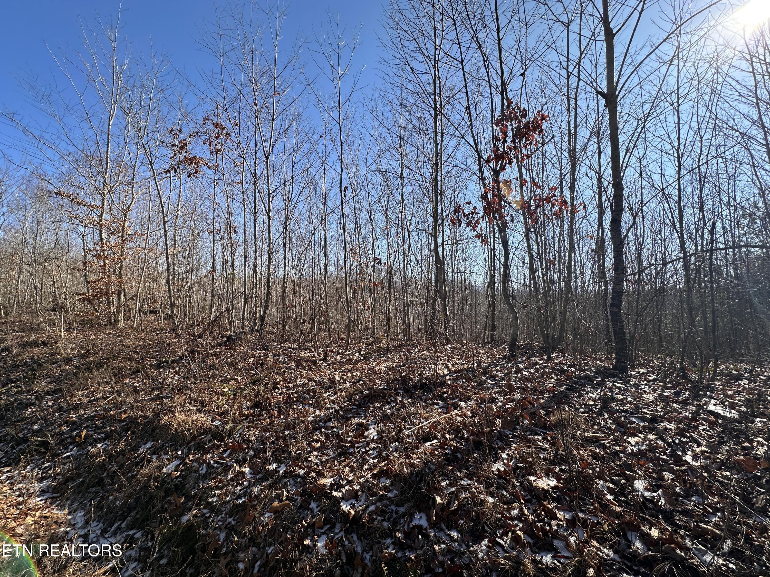162.45ac Mill Creek Rd Property Photo 5