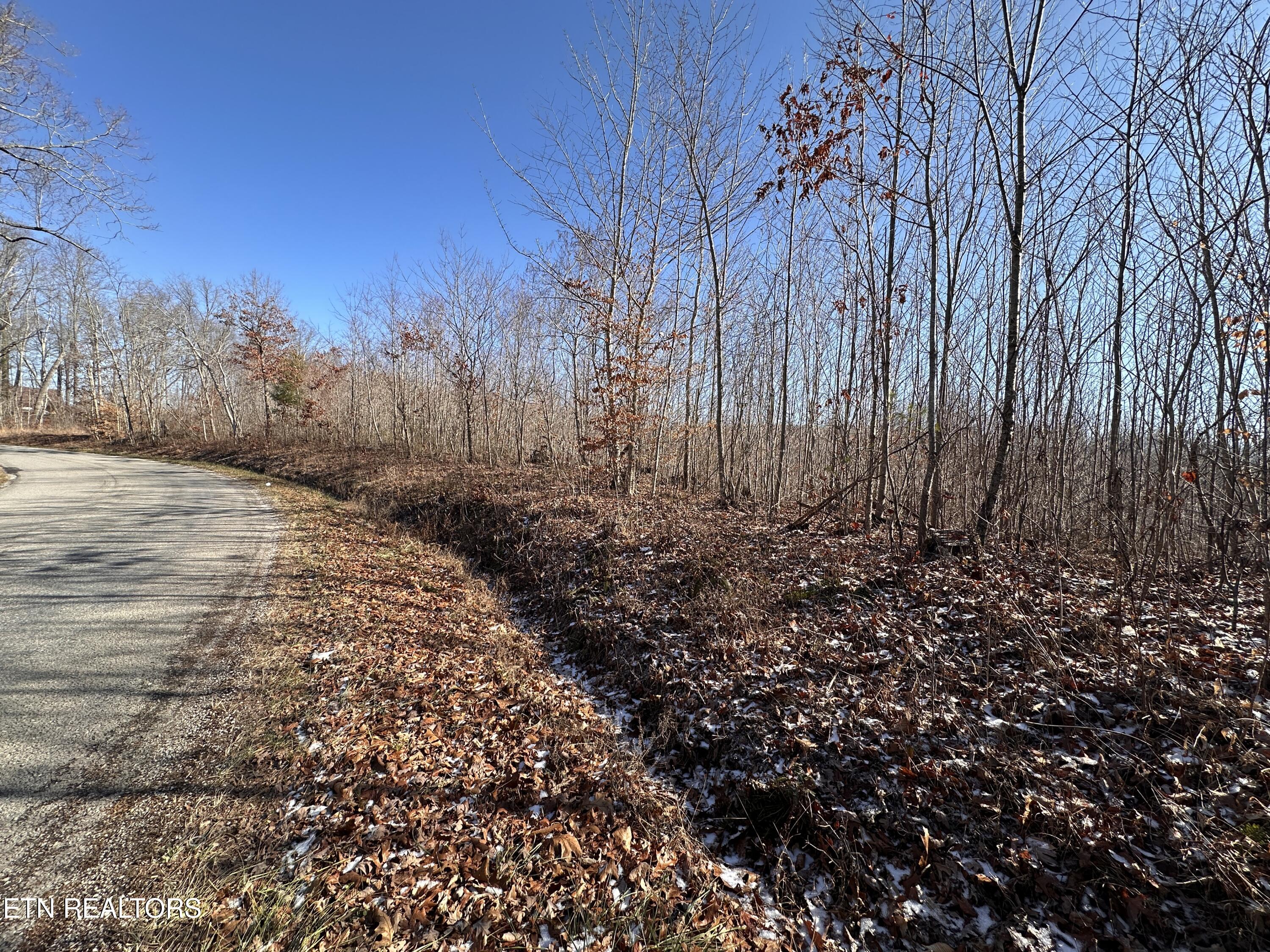 162.45ac Mill Creek Rd Property Photo 6