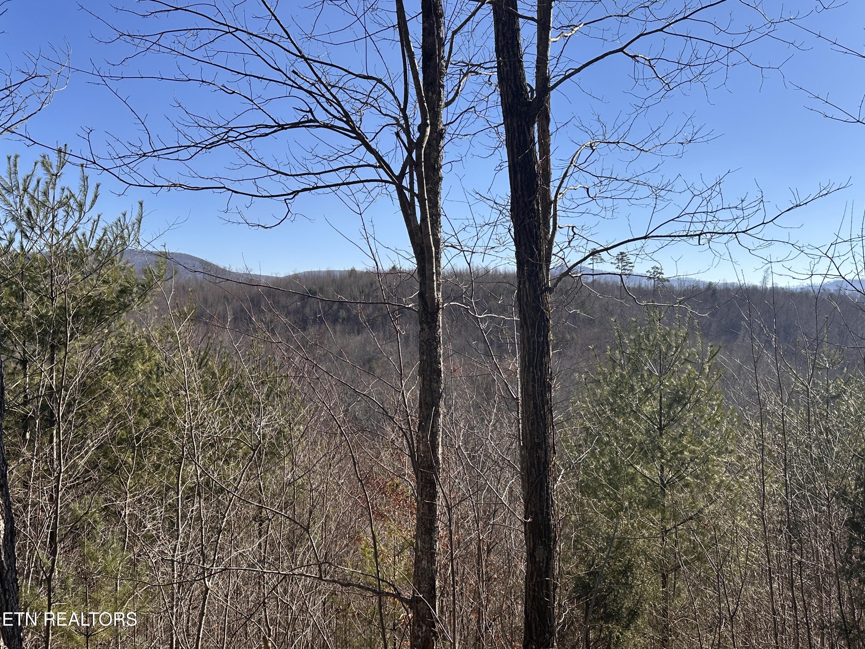 162.45ac Mill Creek Rd Property Photo 7