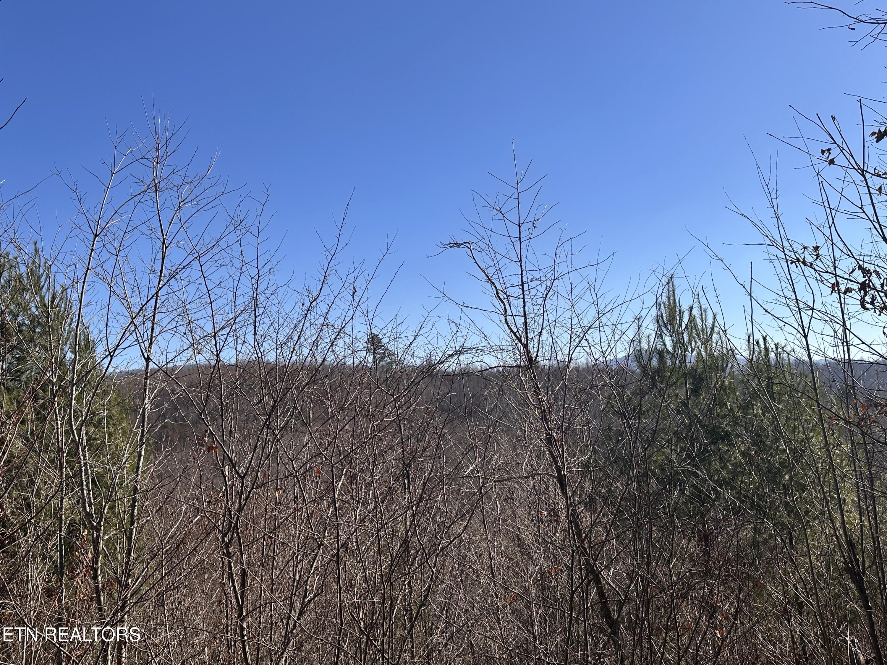 162.45ac Mill Creek Rd Property Photo 8