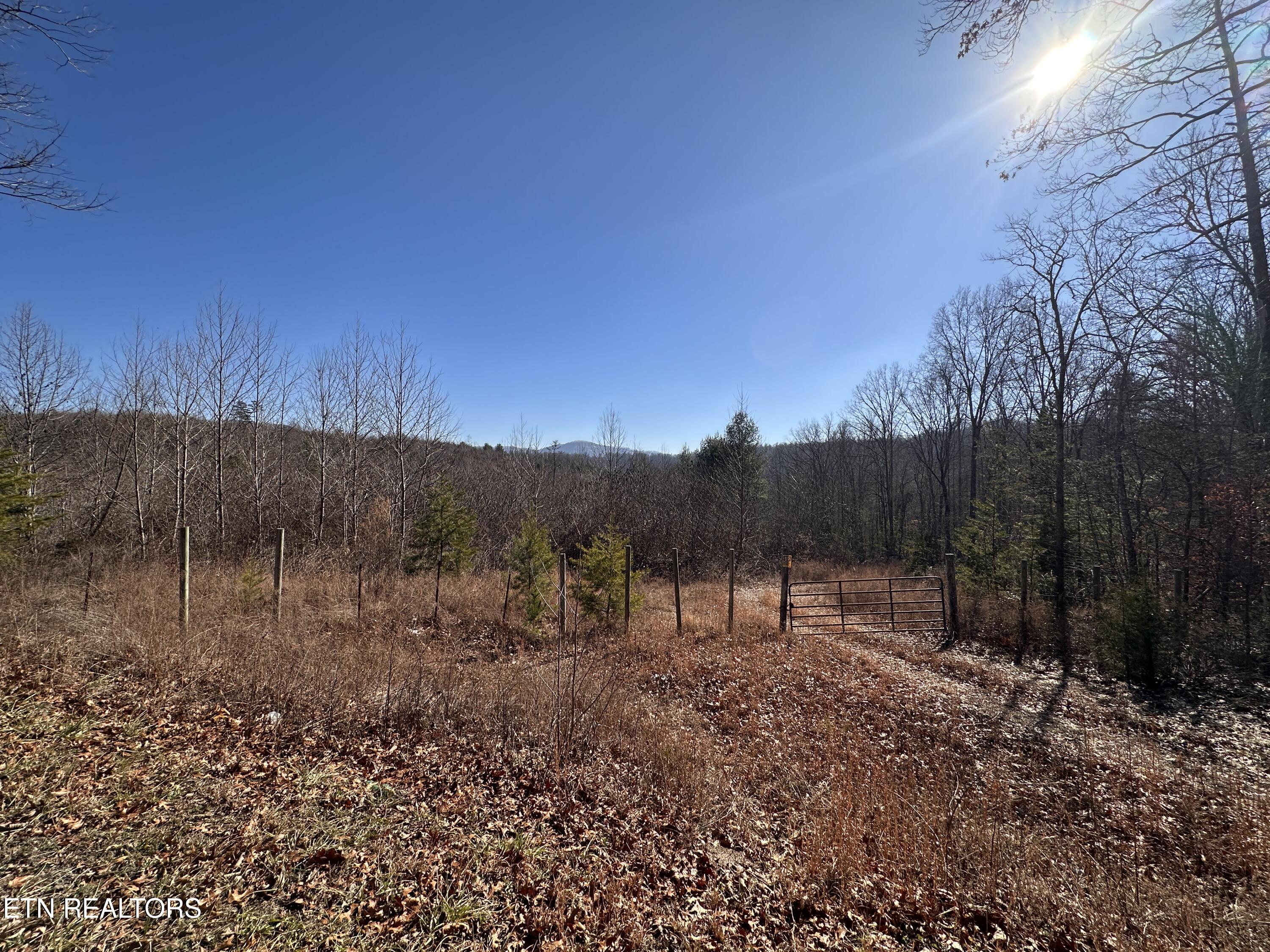 162.45ac Mill Creek Rd Property Photo 9