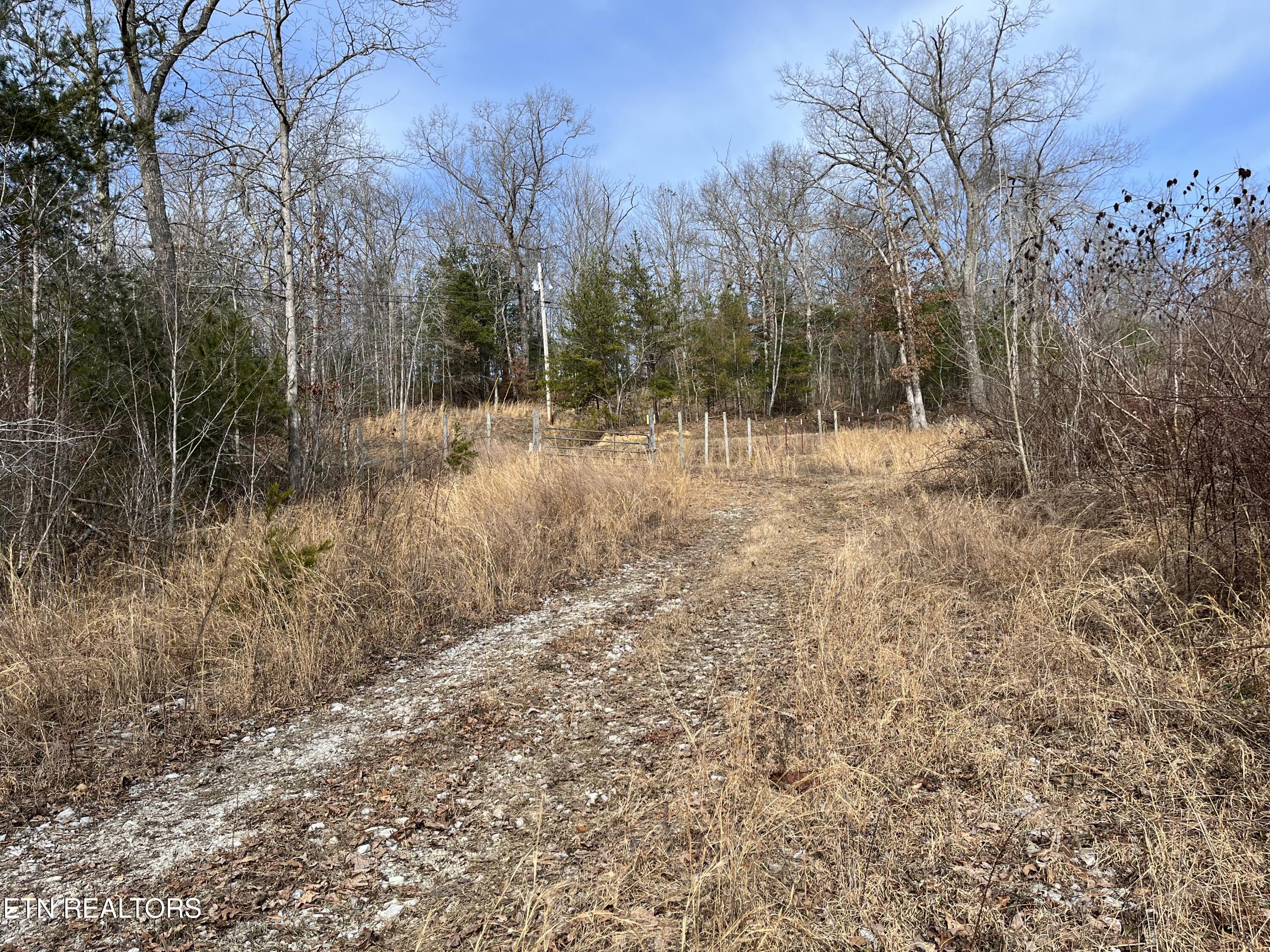 162.45ac Mill Creek Rd Property Photo 11